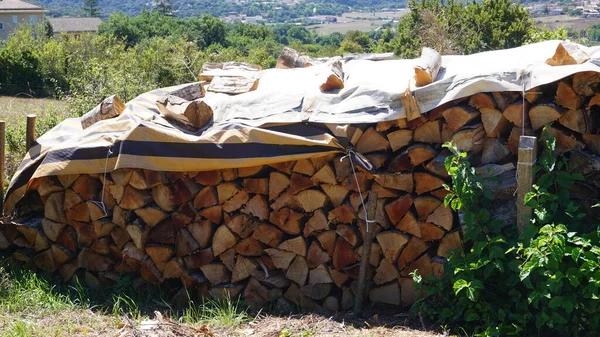 Montón Leña Seca Preparada Para Frío Invierno Urbasa Navarra —  Fotos de Stock