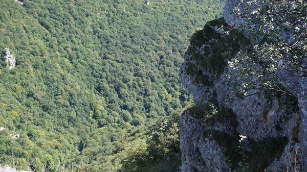 Navarra 'daki Sierra de Urbasa' da doğa manzaraları