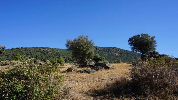 Natural Landscape Sierra Madrid — Stock Photo, Image