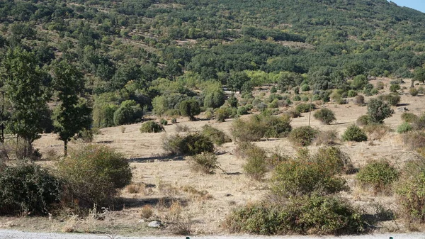 Naturlandskap Sierra Madrid — Stockfoto
