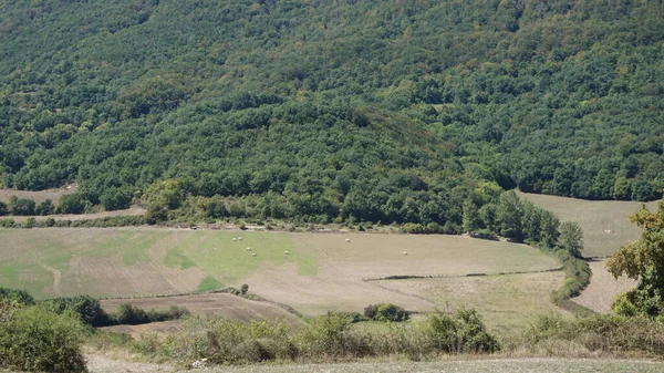 纳瓦拉山区旁边的农村景观 — 图库照片