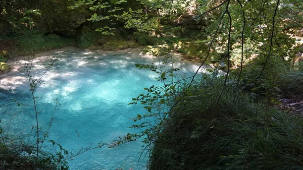 纳瓦拉山区森林中水晶水的景观 — 图库照片