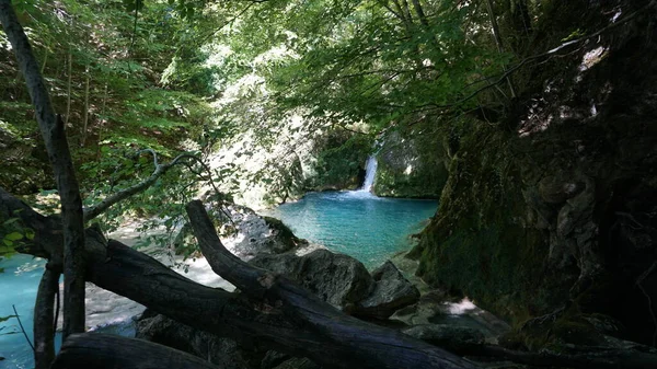 Kristallklares Wasser Einem Wald Den Bergen Navarras — Stockfoto
