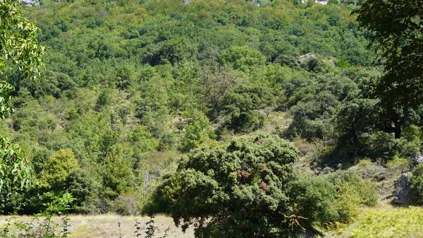 Navarra Bergslandskap Spanien — Stockfoto