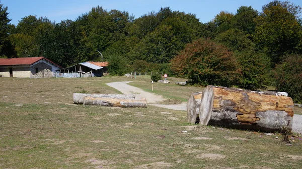 Stora Bokstockar Skurna Vägrenen — Stockfoto