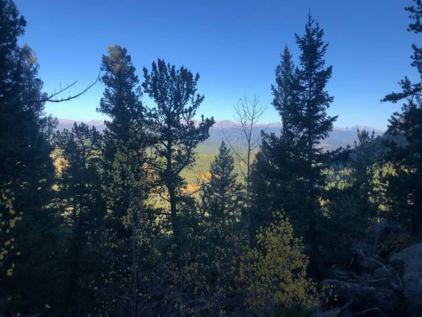 コロラド州ゴールデンゲートキャニオン州立公園にある山の木々や森の色の背景 — ストック写真