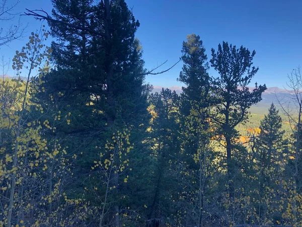 Landscape Fall Forest Colors Golden Gate Canyon State Park Colorado — Stock Photo, Image