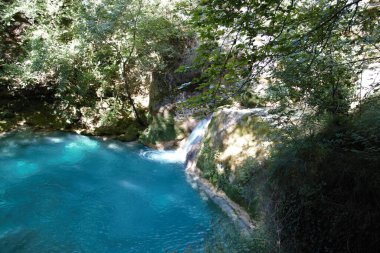 Nacedero del Urederra manzarası, kristal berrak su ve kireçtaşı kayaları, Navarra, İspanya