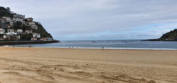 Donostia San Sebastian Pais Vasco Spanien Oktober 2020 Hunde Gehen — Stockfoto