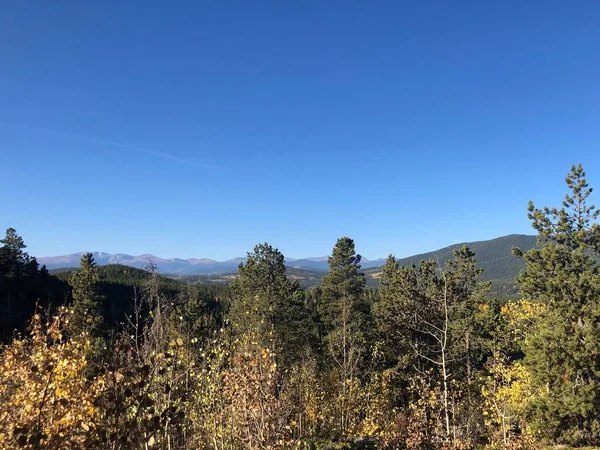 Φθινοπωρινό Τοπίο Δέντρο Golden Gate State Park — Φωτογραφία Αρχείου