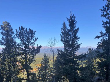 Colorado, ABD 'deki Golden Gate Kanyon Parkı' ndaki ağaçların ve dağların sonbahar manzarası