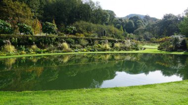 Bahçedeki yapay bir gölde ağaçların, çiçeklerin ve bitkilerin yansıması