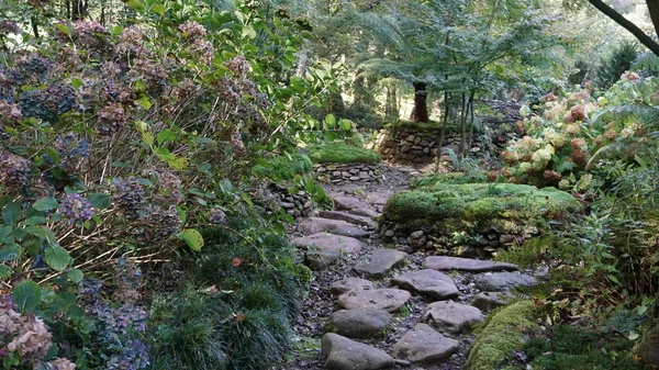 Stenen Pad Een Tuin Een Tuin — Stockfoto