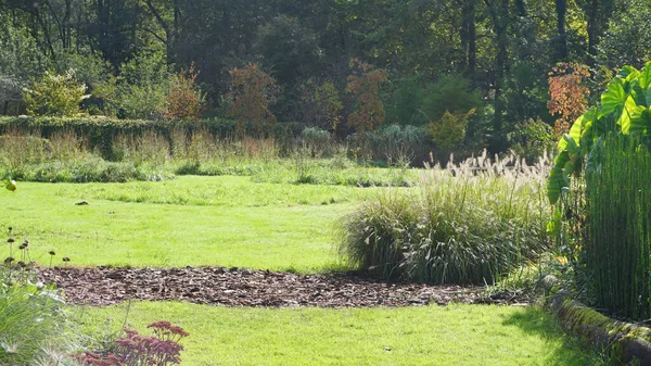 Paisagem Jardim Início Outono Dia Ensolarado — Fotografia de Stock