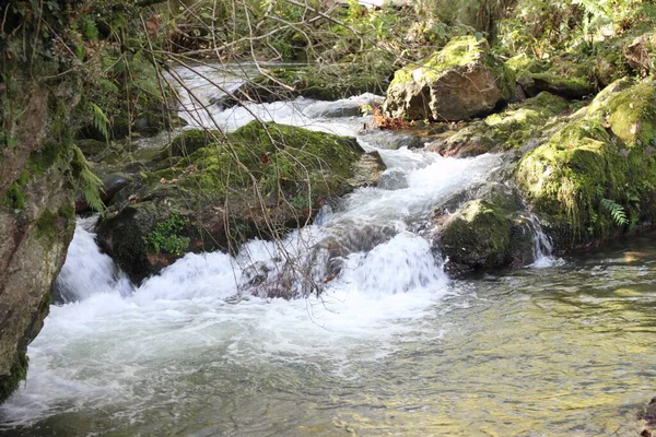 Paesaggio Torrente Montagna Nei Paesi Baschi — Foto Stock