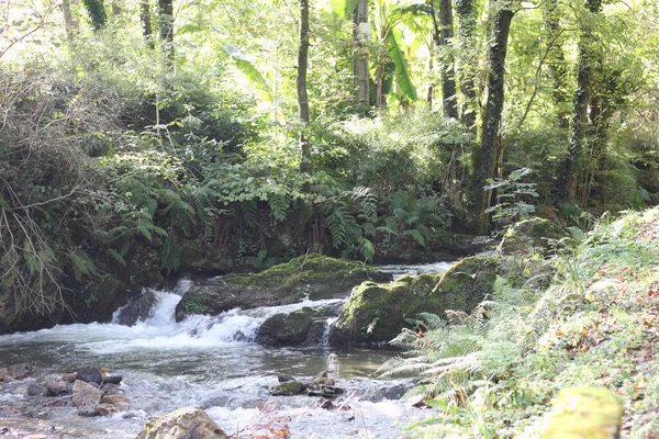 バスク地方の渓流の風景 — ストック写真