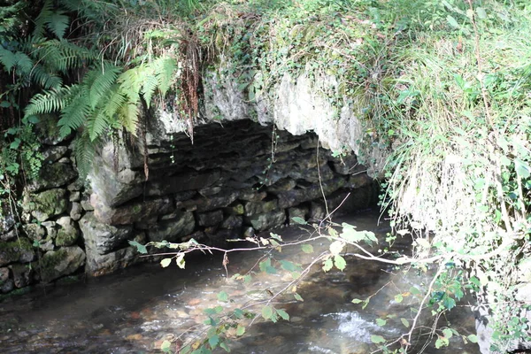 Stone Bridge Mountain Stream Basque Country — Stock Photo, Image