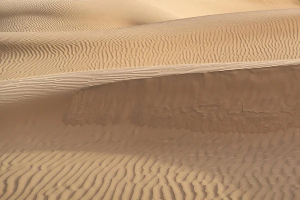 Gyönyörű Homok Dűne Thar Sivatag Jaisalmer Rajasthan India — Stock Fotó