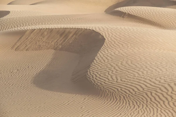 Красиві Піщаній Дюні Пустелі Тар Джайсалмер Раджастан Індія — стокове фото
