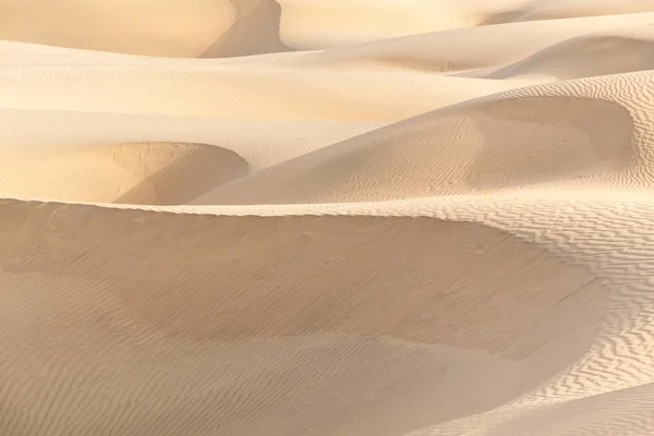 Bella Duna Sabbia Nel Deserto Thar Jaisalmer Rajasthan India — Foto Stock