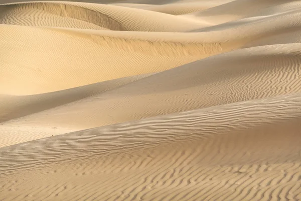Bella Duna Sabbia Nel Deserto Thar Jaisalmer Rajasthan India — Foto Stock