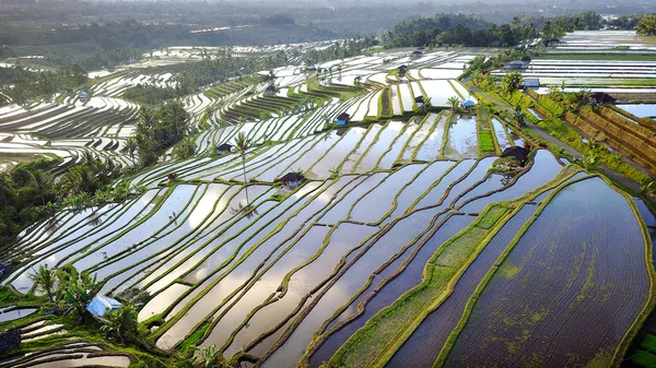 Vista Aérea Bali Rice Terraces Belos Dramáticos Campos Arroz Jatiluwih — Fotografia de Stock