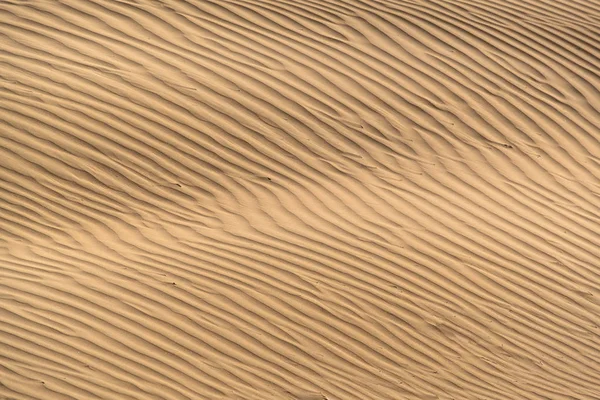 Bella Duna Sabbia Nel Deserto Thar Jaisalmer Rajasthan India — Foto Stock