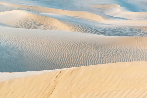 Schöne Sanddüne Der Wüste Thar Jaisalmer Rajasthan Indien — Stockfoto