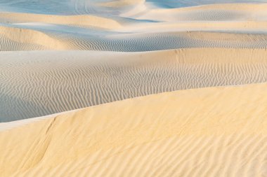 Güzel kumul Thar çöl, Jaisalmer, Rajasthan, Hindistan.