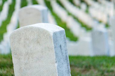 Mezar taşları üzerine bir huzurlu Mezarlığı, açık bir taş üzerinde seçici odak.