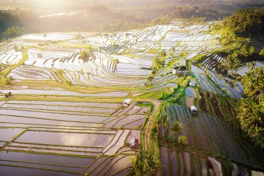 Bali pirinç terasları hava görünümünü. Jatiluwih Güneydoğu Bali güzel ve dramatik pirinç tarlaları prestijli Unesco Dünya Mirası atandınız.