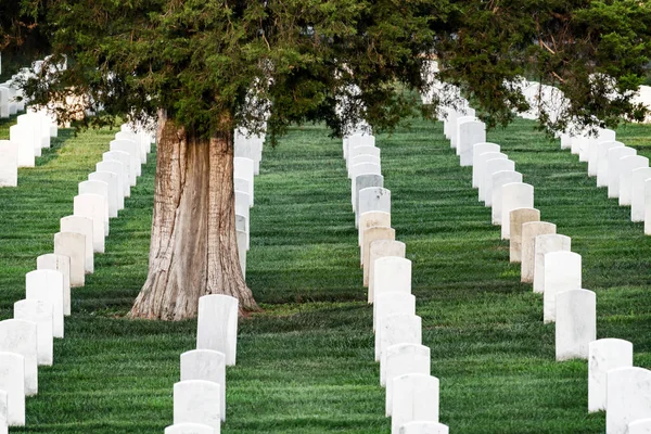 Grave stones in Arlington cemetery, Arlington, Virginia, USA.