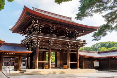 Tokyo, Japonya 'daki Meji Jingu ya da Meji Tapınağı girişindeki manzara.