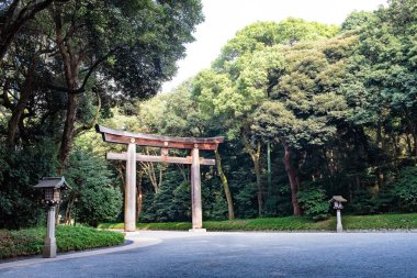 Tahta Torii kapısı, Japonya, Tokyo 'daki Shinto Tapınağı' nın geleneksel Japon kapısı..