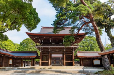 Tokyo, Japonya 'daki Meji Jingu ya da Meji Tapınağı girişindeki manzara.
