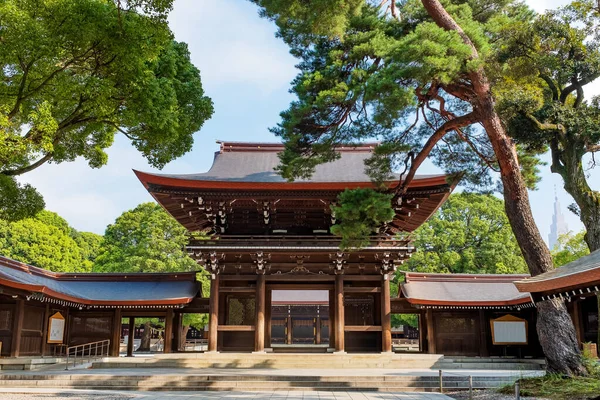 Tokyo, Japonya 'daki Meji Jingu ya da Meji Tapınağı girişindeki manzara.