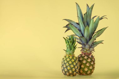 Sarı arka planda izole edilmiş ananas meyvesi. Sağlıklı yaşam tarzı kavramı.