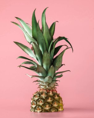Pembe arka planda izole edilmiş ananas meyvesi. Sağlıklı yaşam tarzı kavramı.