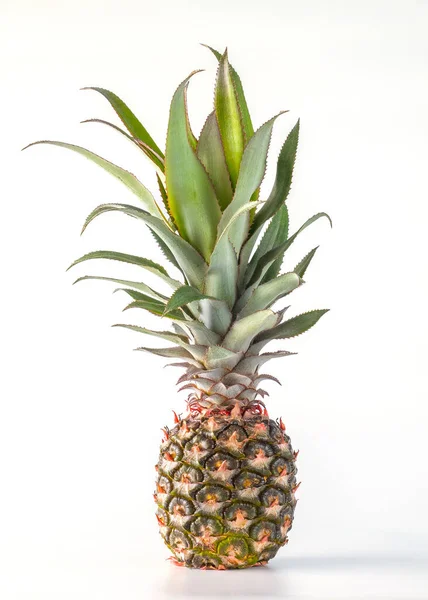 Fruto Piña Aislado Sobre Fondo Blanco Con Ruta Recorte — Foto de Stock