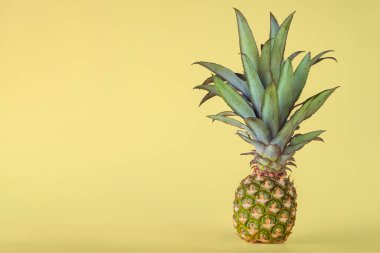 Sarı arka planda izole edilmiş ananas meyvesi. Sağlıklı yaşam tarzı kavramı.