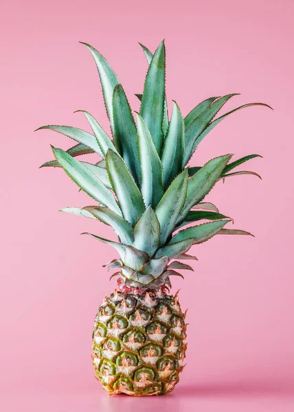 Fruto Piña Aislado Sobre Fondo Rosa Concepto Estilo Vida Saludable — Foto de Stock