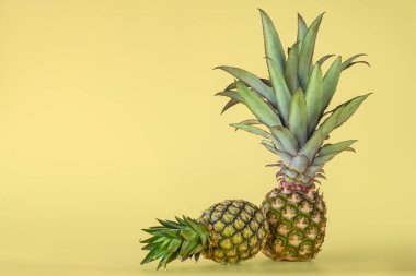 Sarı arka planda izole edilmiş ananas meyvesi. Sağlıklı yaşam tarzı kavramı.