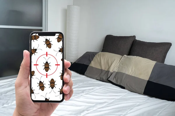 Vrouwen Zijn Ongewone Dingen Zoeken Opsporen Van Bed Bugs Slaapkamer — Stockfoto