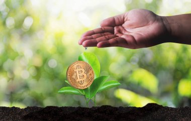 Büyüme kavramı Kripto Döviz Alım Bitcoins blockchain teknoloji Finansal altın Bitcoins merdiven