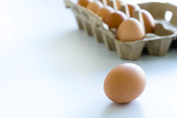 Close-up  eggs Brown eggs in carton box isolated on a white