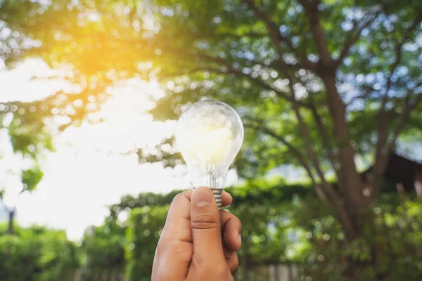 Concetto Energia Verde Fonti Energetiche Sostenibile Elementi Ecologia — Foto Stock