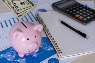 finans muhasebe genç tasarrufu için tasarruf para yatırım yönetmek