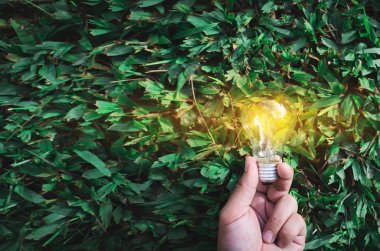 günbatımı güç kavramı ekoloji öğeleri enerji kaynakları