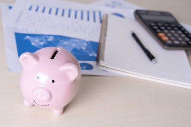 finans muhasebe genç tasarrufu için tasarruf para yatırım yönetmek