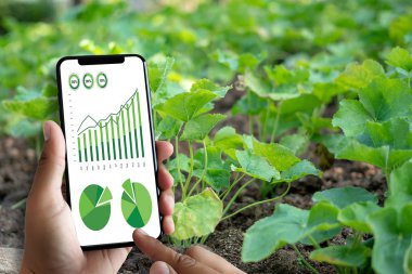 Tarım Teknolojisi Konsepti Tarım Alanında Tablet Kullanan Agronomist bir rapor okudu